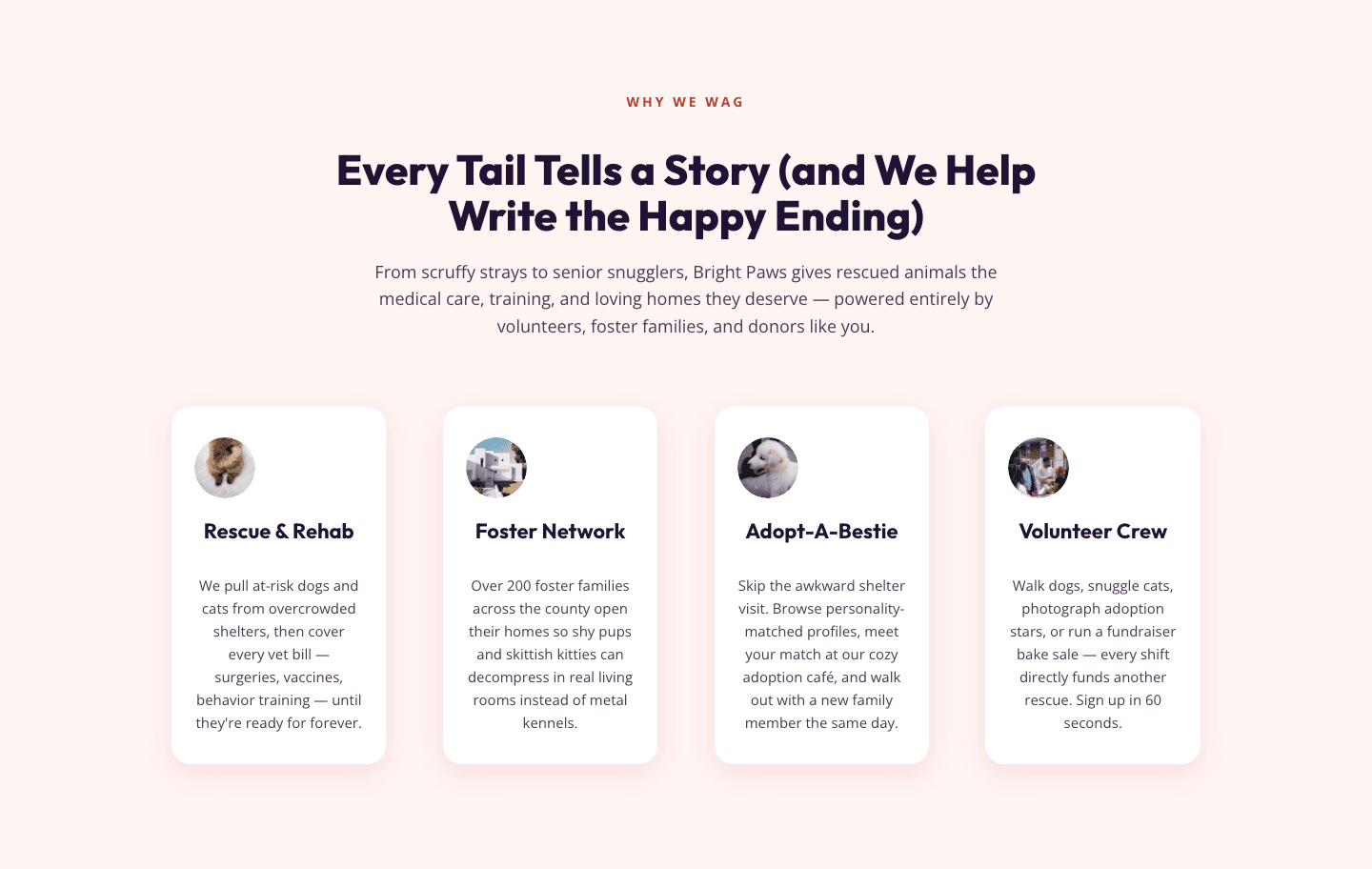 Playful Nonprofit Features Section for Divi 5 — Animal Rescue Layout